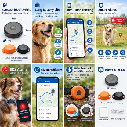 GPS for Dogs and Cats