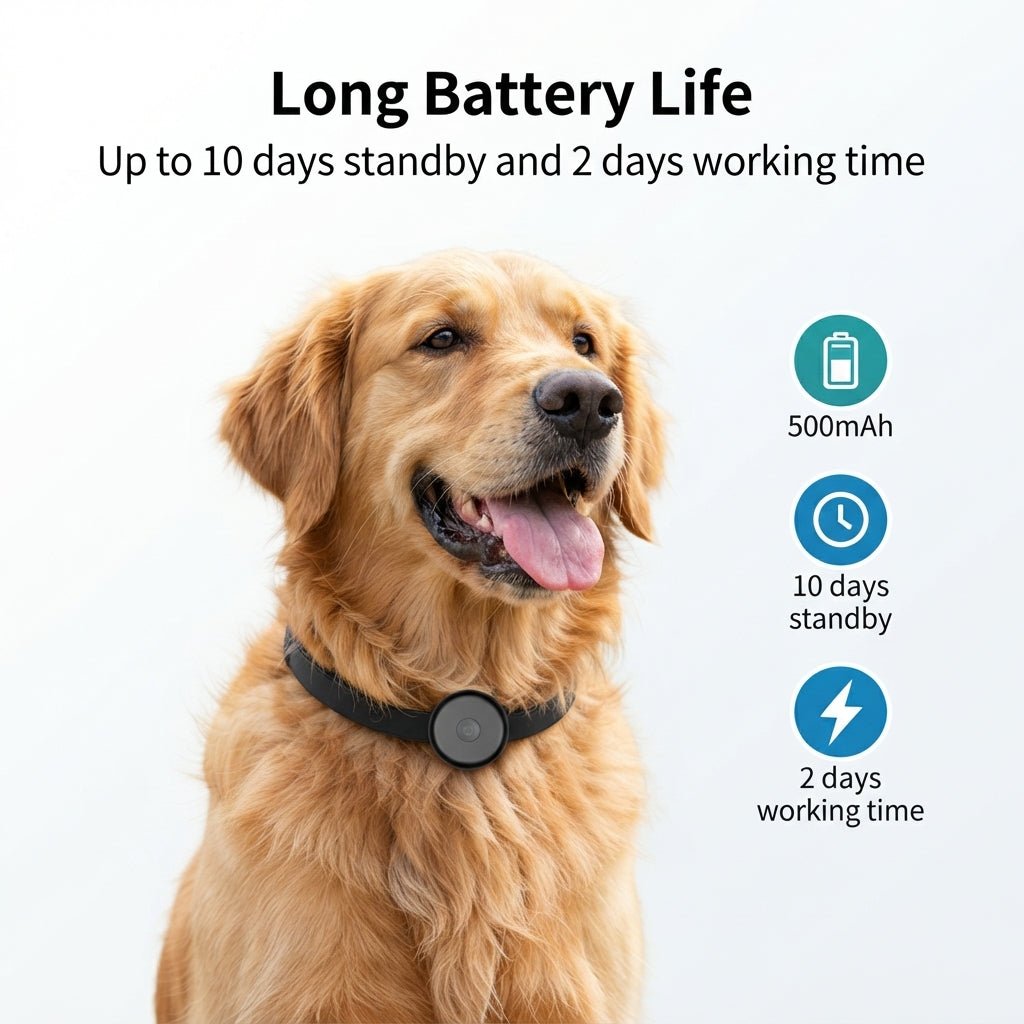 GPS for Dogs and Cats