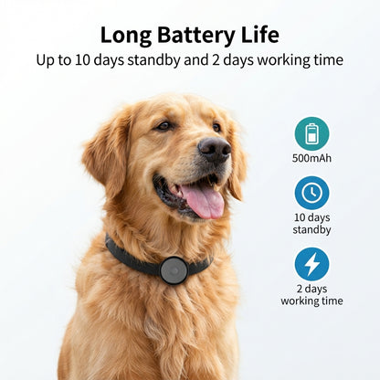 GPS for Dogs and Cats