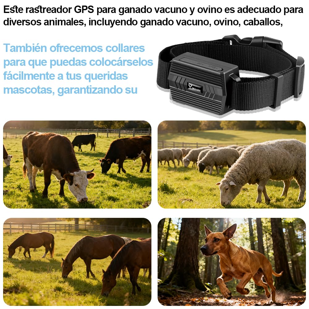 Winnes GPS Tracker with Collar  for Horses, Cows, Sheep, Large Animals 2G |TK935 -3500mAh